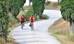 Zwei Radfahrer radeln auf einer Straße in der Toskana an Bäumen und Wiesen vorbei