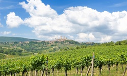 Blick über die Weinberge bis hin nach San Gimignano