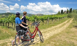 Zwei Radfahrer stehen neben ihren abgestellten Rädern auf einem Feldweg an einem Weinberg und blick über die Weinreben zur "Stadt der Türme", San Gimignano