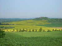 Blick über die reizvolle Landschaft der Toskana