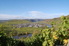 Das idyllisch an einer Moselschleife gelegene Trittenheim von einem gegenüberliegenden Weinberg aus gesehen.