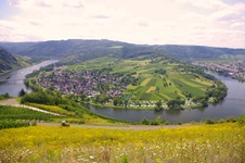 Blick auf die Moselschleife von Trittenheim