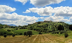 Wunderschöner Panoramablick über eine typisch toskanische Landschaft mit sanften Hügeln, Zypressen und Weinbergen.