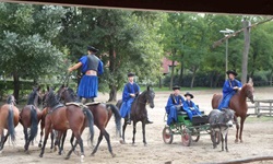 Ungarische Pferdehirten zeigen bei einer Reitvorführung die Ungarische Post, bei der ein Mann mit jeweils einem Bein auf dem Rücken zweier nebeneinander laufender Pferde steht.