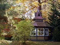 Blick auf ein Pavillion in einem Laubwald auf der Insel Usedom