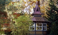 Blick auf ein Pavillion in einem Laubwald auf der Insel Usedom