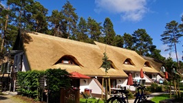 Blick auf Häuser mit Reetdächern auf Usedom