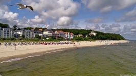 Eine Möwe schwebt über dem Strand des Seeheilbades Bansin auf Usedom.