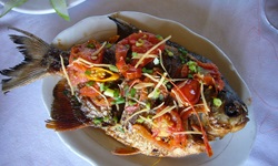 Mittagessen auf einer Dschunke: Fisch mit Gemüse