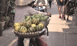 Ein vietnamesischer Bauer transportiert auf seinem Fahrrad Früchte durch die Straßen von Hanoi.
