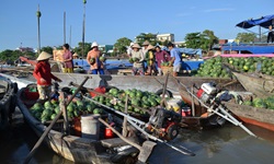 Ein Markt mit Wassermelonen am Hafen von Mekong in Vietnam