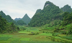 Unendlich erscheinende Reisfelder und teilweise bizarre Felsformationen in der vietnamesischen Provinz Ninh-Binh.