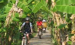 Radfahrer radeln auf einem Weg durch Bananenstauden im Mekongdelta in Vietnam