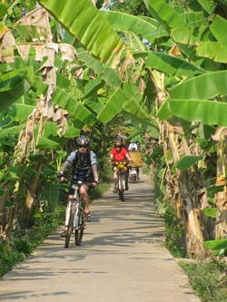 Radfahrer radeln auf einem Weg durch Bananenstauden im Mekongdelta in Vietnam