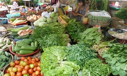Ein typischer vietnamesischer Marktstand mit viel verschiednen Gemüsesorten