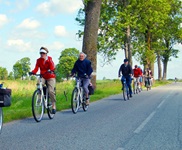 Eine Radlergruppe folgt einer von Bäumen gesäumten Straße durch das schöne Ostpreußen.