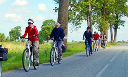 Eine Radlergruppe folgt einer von Bäumen gesäumten Straße durch das schöne Ostpreußen.