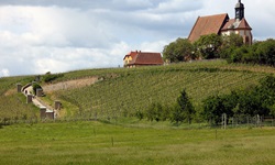 Die Wallfahrtskirche St. Maria auf dem Weinberg in Volkach