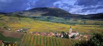 Blick über eine elsässische Landschaft mit Dorf und einer hoch thronenden Burg