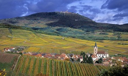 Blick auf ein Dorf mit seinen umliegenden Weinreben, Feldern und einem hoch thronenden Schloss im Elsass