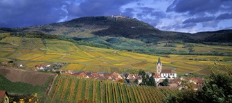 Blick auf ein Dorf mit seinen umliegenden Weinreben, Feldern und einem hoch thronenden Schloss im Elsass