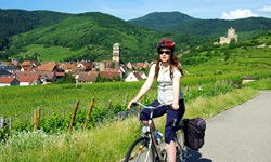 Eine Frau radelt auf einem Radweg entlang. Hinter ihr ist Kaysersberg mit seiner hoch thronenden Burg zu erkennen.