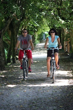 Zwei Radfahrer auf dem von Bäumen eingerahmten Donau-Radweg zwischen Regensburg und Passau.