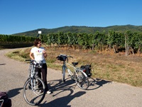 Eine Frau steht auf einem Radweg im Elsass zwischen zwei Rädern und blickt auf die Weinreben