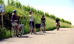 Radlergruppe auf der Elsässer Weinstraße
