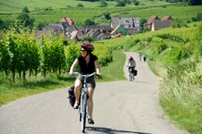 Zwei Radlerinnen fahren auf einem Radweg im Elsass an den Weinbergen entlang