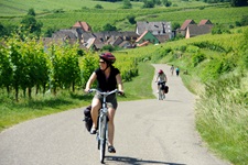 Zwei Radlerinnen fahren auf einem Radweg im Elsass an den Weinbergen entlang