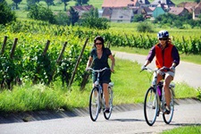 Zwei Radlerinnen fahren auf einem asphaltierten Radweg durch Weinreben im Elsass entlang