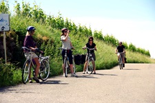 Eine Radlergruppe macht eine Fotopause auf einem Radweg an Weinreben