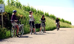 Eine Radlergruppe macht auf einem Radweg im Elsass Pause, eine Frau fotografiert die Landschaft