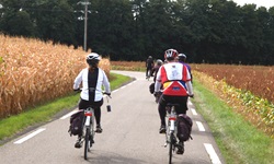 Eine Radlergruppe fährt auf einem Radweg im Elsass an Feldern vorbei