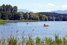 Ruderboote auf dem schönen Waginger See.