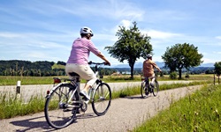 Zwei Radfahrer radeln auf den schönen Waginger See zu.