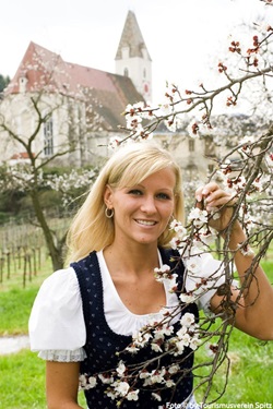 Eine in Tracht gekleidete junge Frau posiert neben einem blühenden Obstbaum in Spitz für ein Foto. Im Hintergrund ist die Pfarrkirche von Spitz zu erkennen.