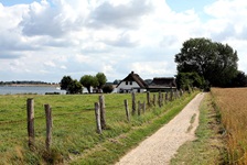 Schotterweg neben einer Weide entlang der Schlei