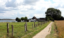 Schotterweg neben einer Weide entlang der Schlei