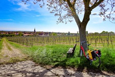 Ein Fahrrad steht an einem idyllischen Pausenplatz bei einem von Weinbergen umgebenen Winzerdorf.