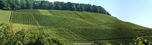 Wunderschöner Panoramablick über Weinberge in Mainfranken.