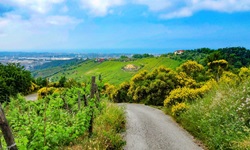 Ein alsphaltierter, von Weinbergen und blühenden Wiesen gesäumter Radweg auf der Strecke von Pisa nach Cinque Terre.
