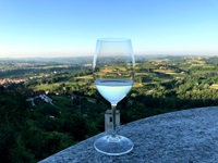 Ein zu einem Drittel gefülltes Weinglas vor der traumhaften Kulisse der piemontesischen Hügellandschaft.