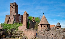 Blick auf die Burg von Wertheim