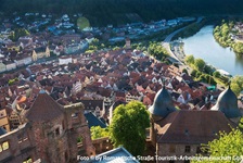 Schöner Blick auf die direkt am Main gelegene Altstadt von Wertheim.