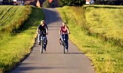 Zwei Radler fahren auf dem Weser-Radweg an reifenden Kornfeldern vorbei.
