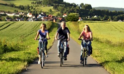 Drei Radler auf dem von reifenden Kornfeldern flankierten Weser-Radweg.