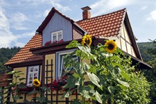 Sonnenblumen blühen vor einem in Blau- und Gelbtönen gehaltenen Fachwerkhaus am Weser-Radweg.