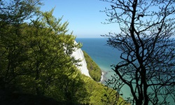 Blick auf die weißen Klippen und das Meer auf Rügen